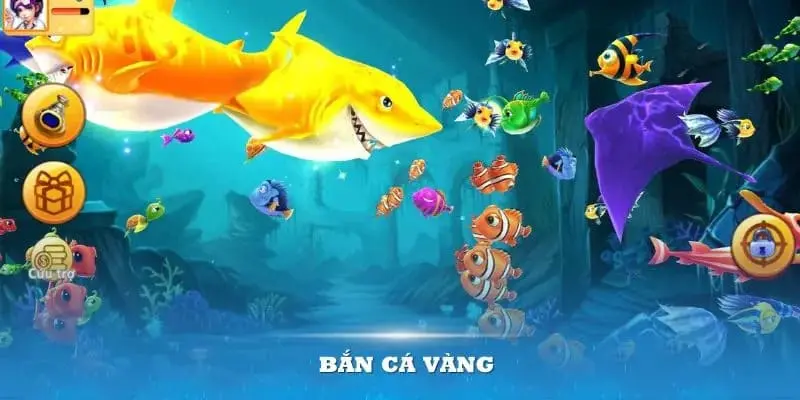 Phòng bắn trong quá trình tham gia